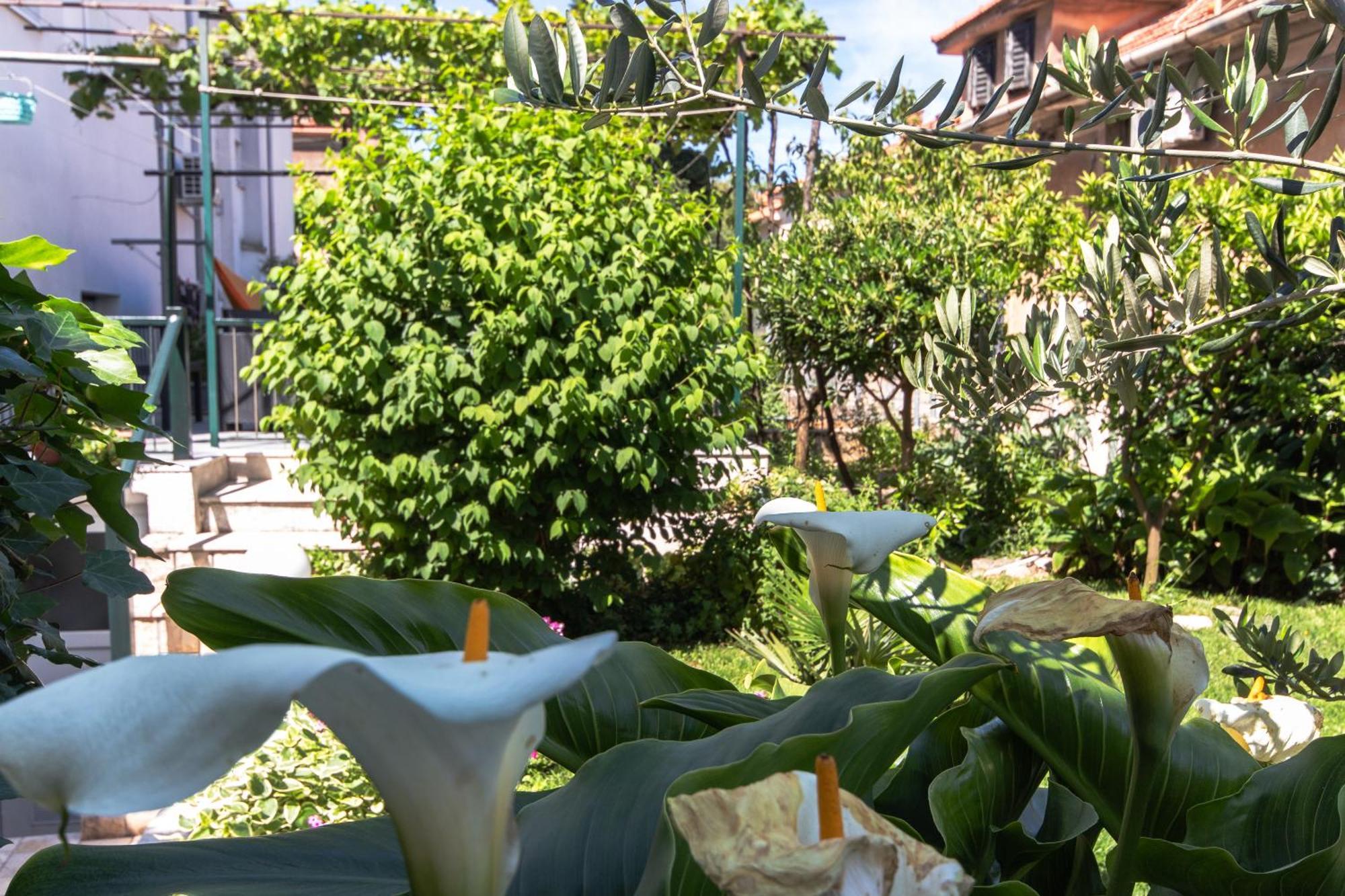 Marjan Hill 3-Br Apt,5 Guests Private Garden Near Beach Split Exterior photo